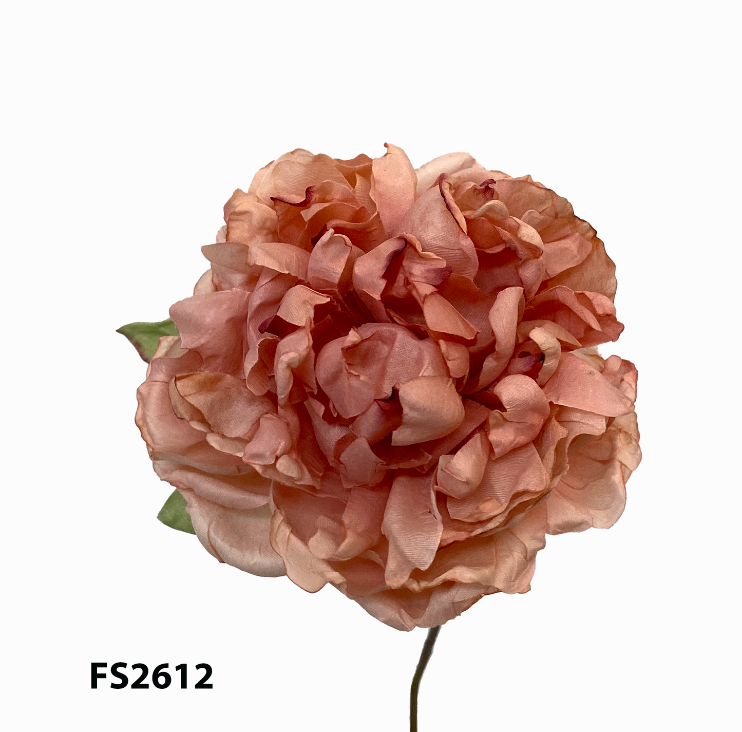 FS2610