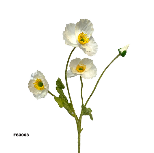 FS3063
