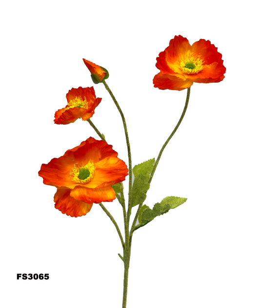 FS3065