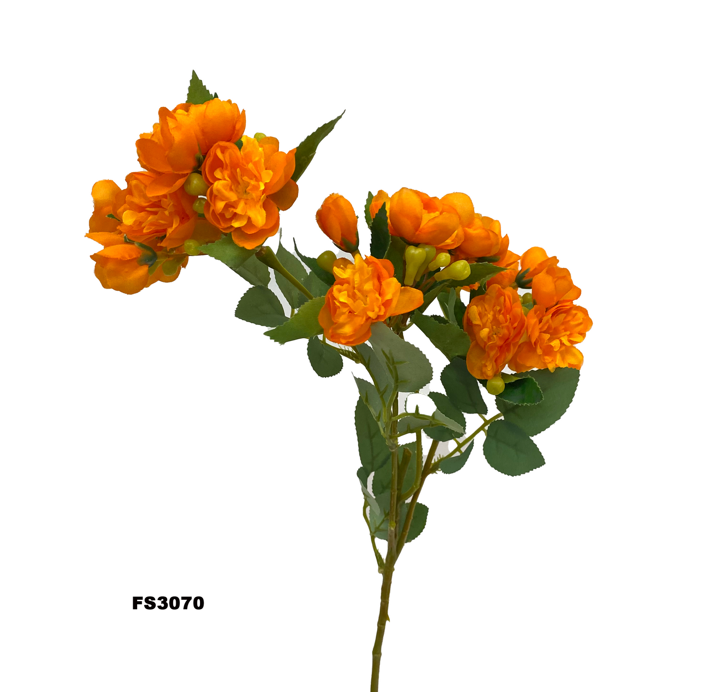 FS3070