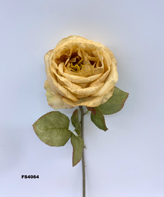 FS4064