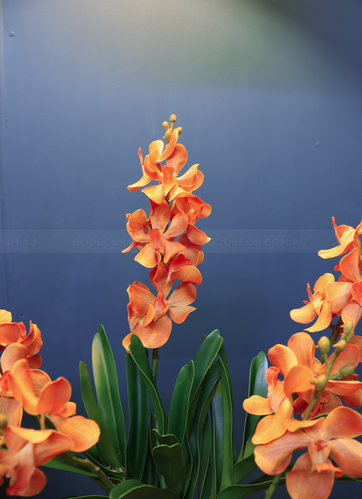 68CM Tall Artificial Flower Arrangement Realistic Orange Mokara Orchids In Short Vase (ARBT1)