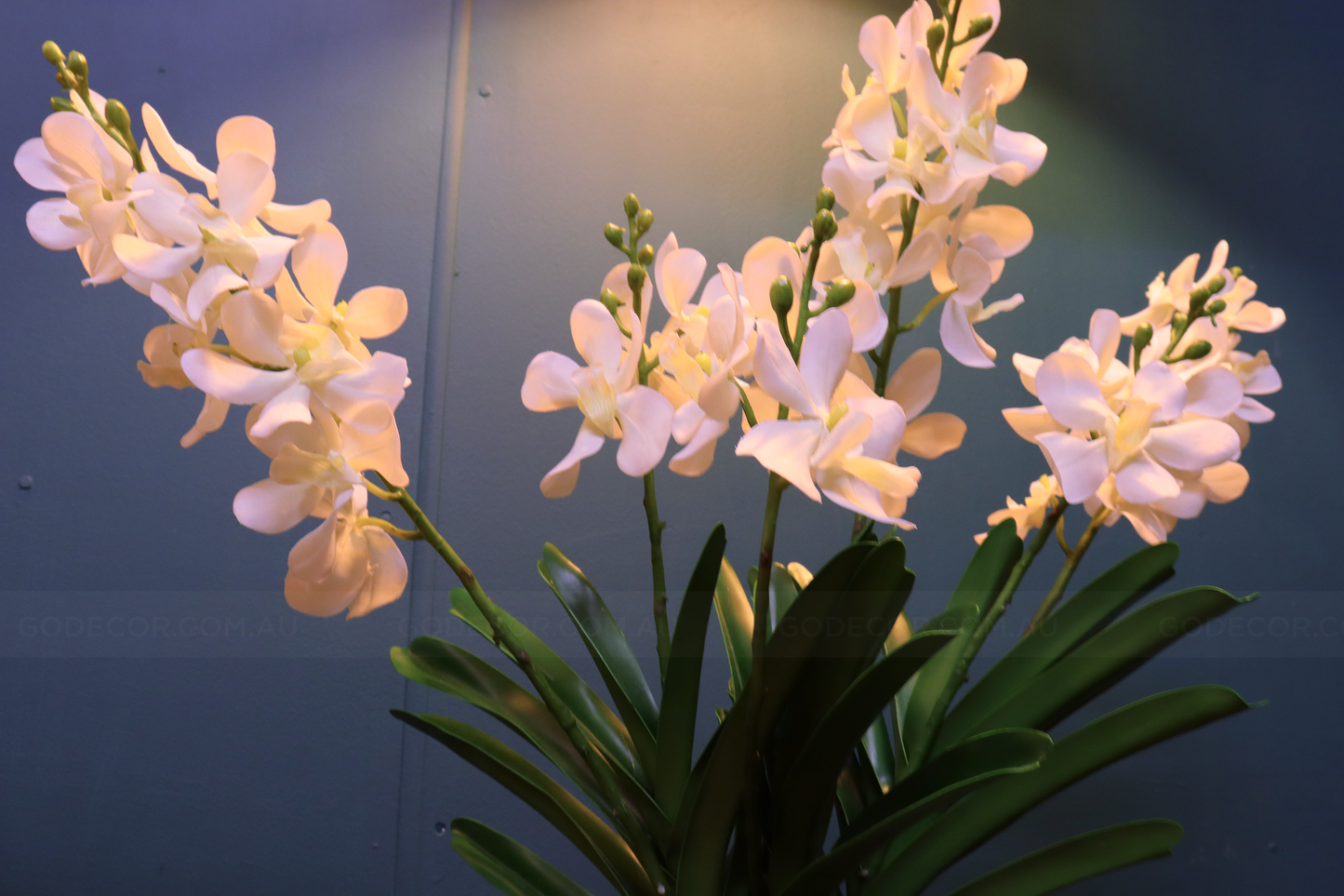 67CM Tall Artificial Flower Arrangement White Mokara Orchids In Short Vase (ARBT2)