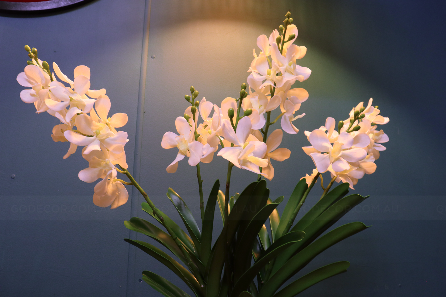 67CM Tall Artificial Flower Arrangement White Mokara Orchids In Short Vase (ARBT2)