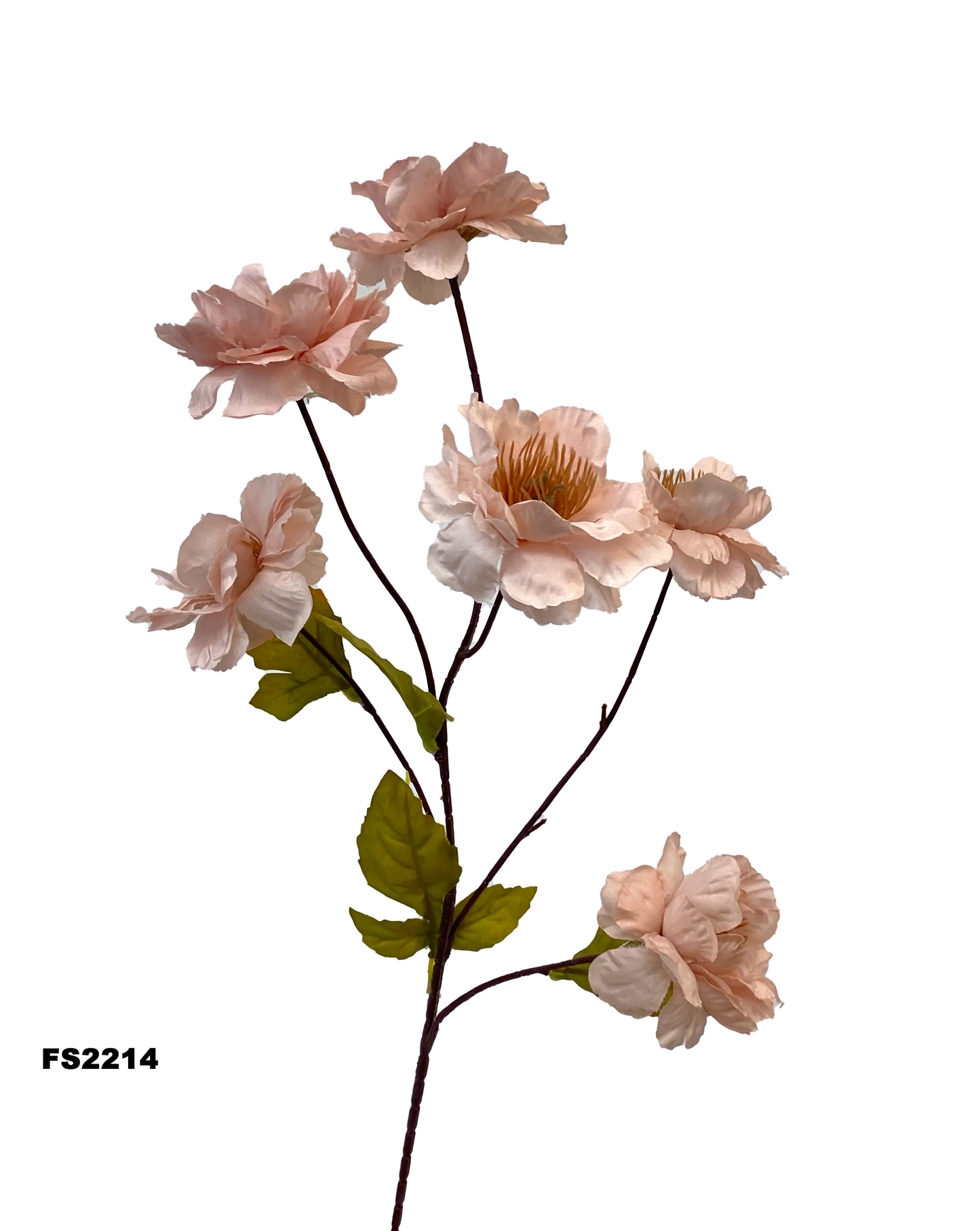 FS2214