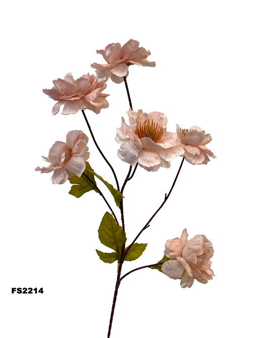 FS2214