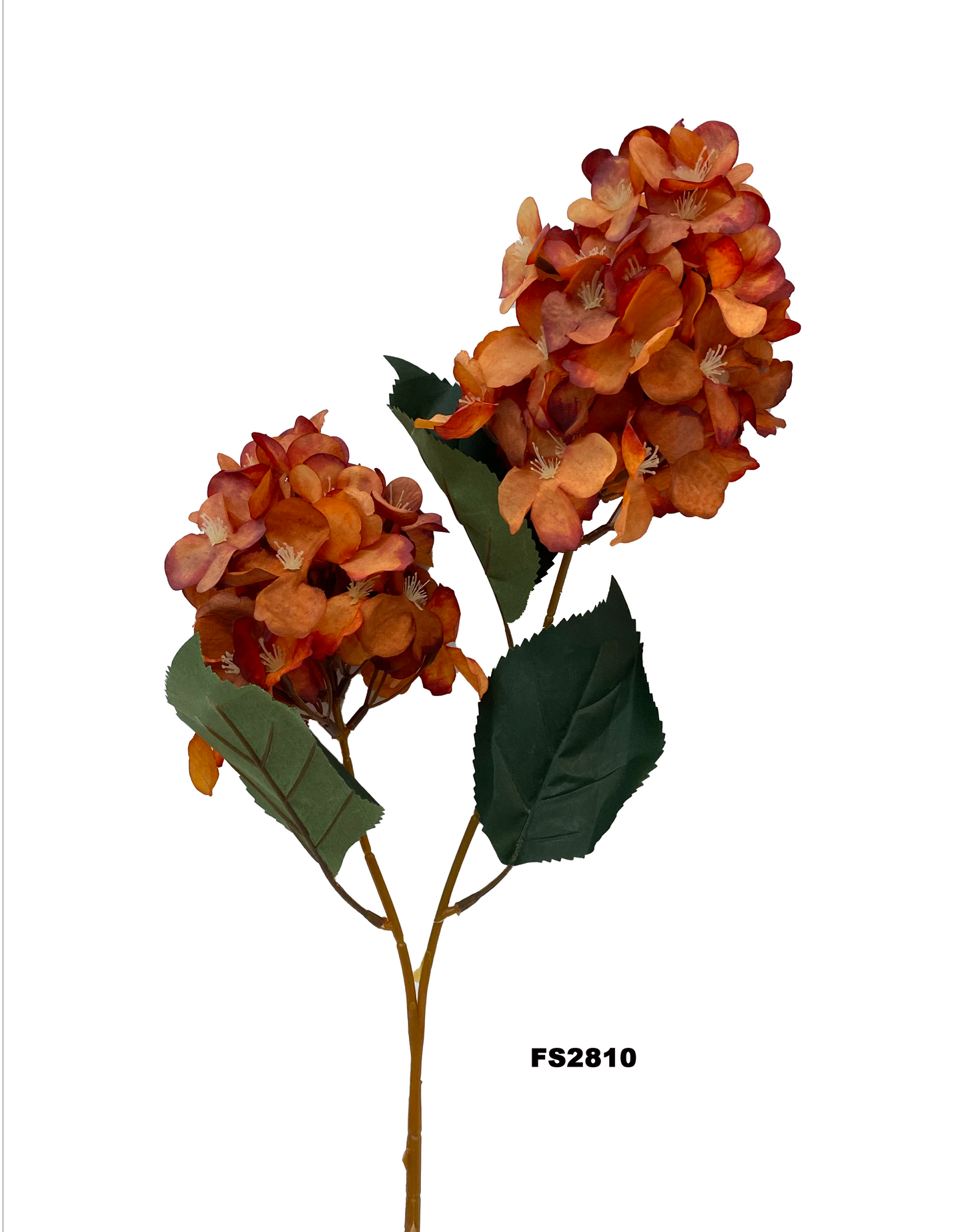 FS2810