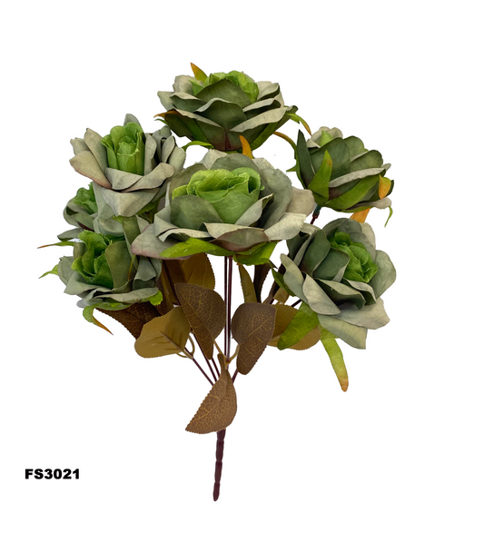 FS3021