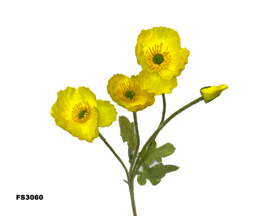 FS3060