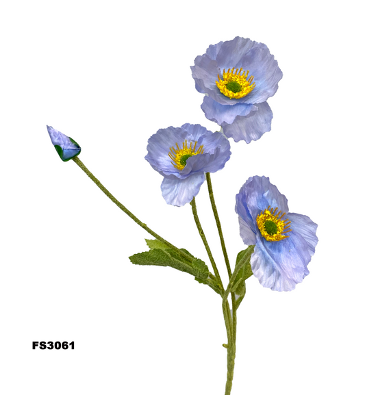 FS3061