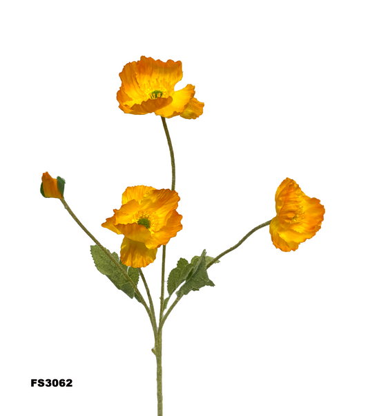 FS3062