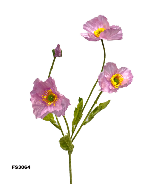 FS3064