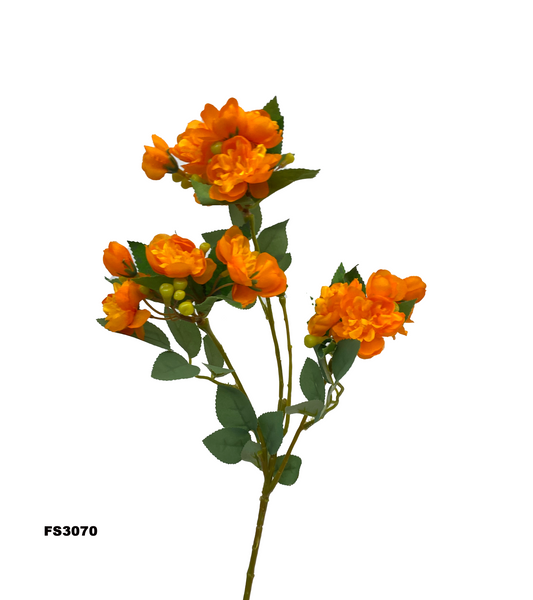 FS3070