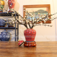 50CM Tall Artificial Flower Arrangement Plum Blossom In Red Chinese Pattern Jar (ARAA5)