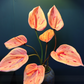 77CM Tall Artificial Flower Arrangement Orange Flamingo Flowers In Vase (ARBP1)