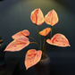 77CM Tall Artificial Flower Arrangement Orange Flamingo Flowers In Vase (ARBP1)