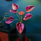 80CM Tall Artificial Flower Arrangement Purple Flamingo Flowers In Vase (ARBP2)
