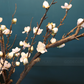 Artificial Flower Plum Blossom In Vase (ARCU1)