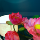 Artificial Flower Bunch Of Lotus In Blue & White Chinese Pattern Jar (ARCV1)